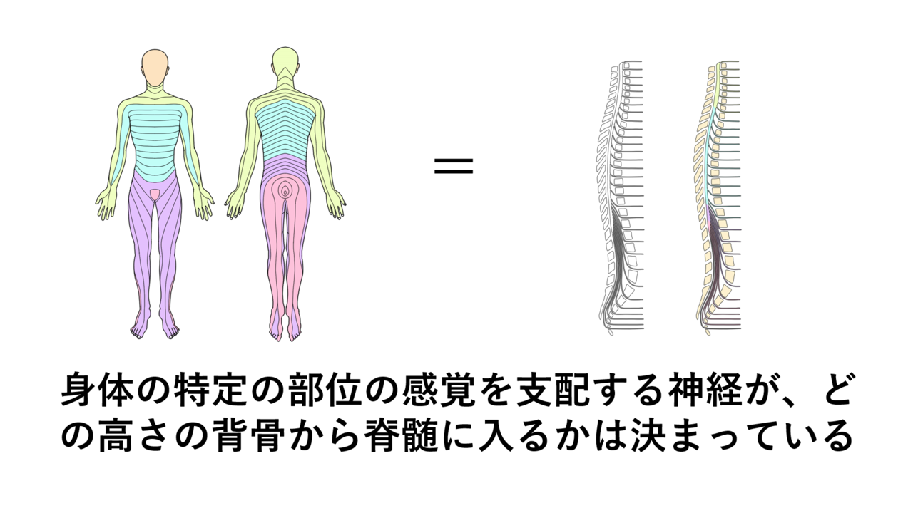 他覚的耳鳴り治療