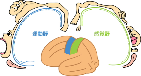 トップ ハーネス切断事件