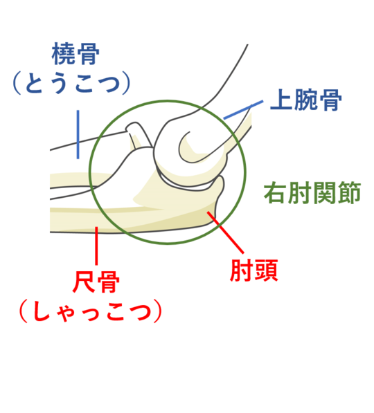 尺骨の骨折と後遺障害 東京都で後遺障害 交通事故なら医療資格保有弁護士のハビリス法律事務所へ