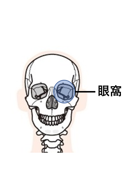 鼻の後遺障害 東京都で後遺障害 交通事故なら医療資格保有弁護士のハビリス法律事務所へ